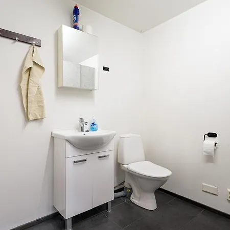 Lakeside Retreat Near The University, With 2 Free Parking Spots Oulu